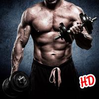 Gym Workout HD Wallpaper & Background
