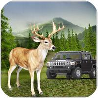 Deer Wild Hunter 3D - Sniper Shoot Animal