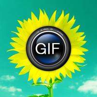 Animated GIF Album free