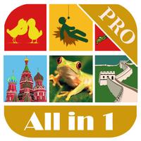 Puzzle & Guess All in 1 Pro