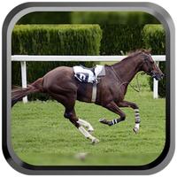Derby Quest:Horse Breed-ing and Racing Champion HD