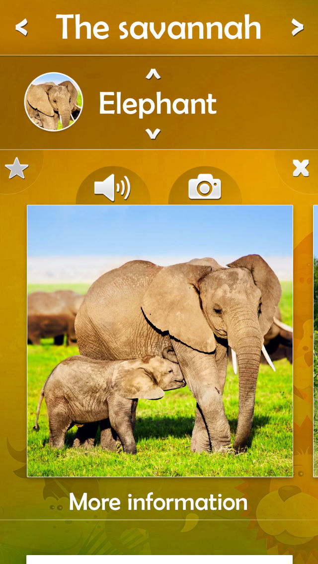 Animal sounds Moo box App for iPhone Free Download Animal sounds Moo box App for iPhone Free Download
