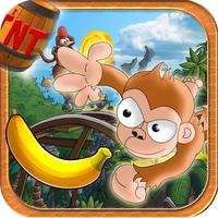 Jungle Monkey 2