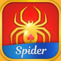 Daily Spider Solitaire