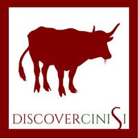 Discover Cinisi