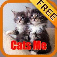 Cats Me - Cats Effects FREE