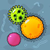 Bacteria World: Agar