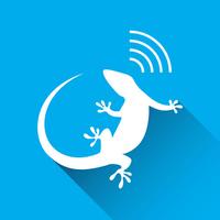 Wireless Gecko