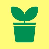 Plant Watering Reminder: Care For Indoor Plants