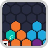 Hex Fill Brain: Hexagon Blocks