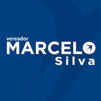 Vereador Marcelo Silva