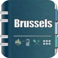 Brussels Guide