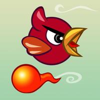 Fire bird striker