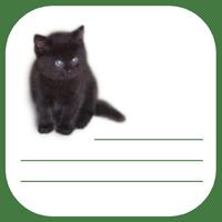 Kitty List
