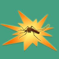Mosquito Dash