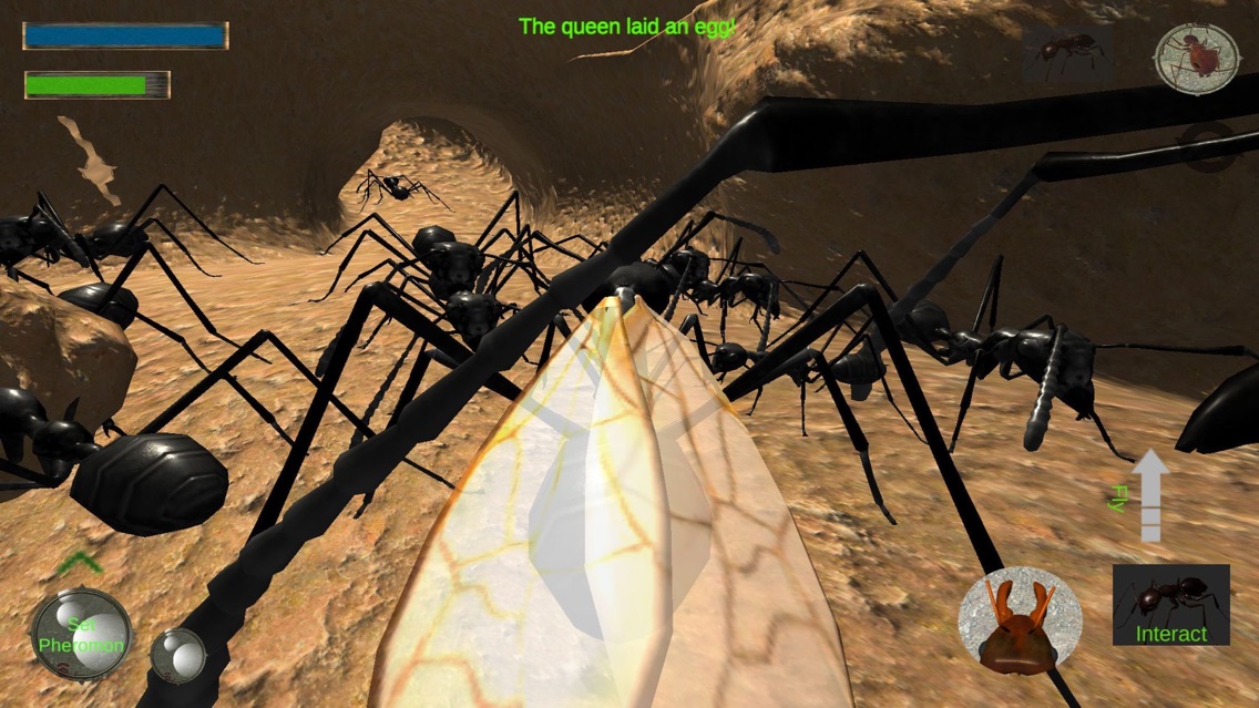 ant queen game free download