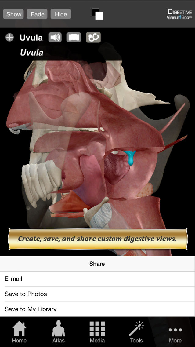 human anatomy atlas visible body coupon