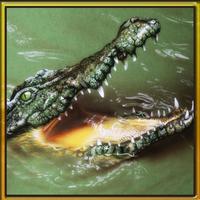 Wild Hungry Crocodile 3D. Swamp Aligator Attack in WildLife Simulator 2016
