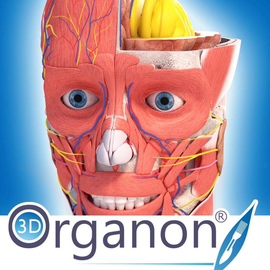 3d Organon VR Anatomy. 3d Organon VR Anatomy приложение. 3d Organon VR Anatomy; 3d Organon VR Anatomy | Enterprise.